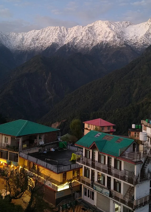 Salt and Pepper Restaurant